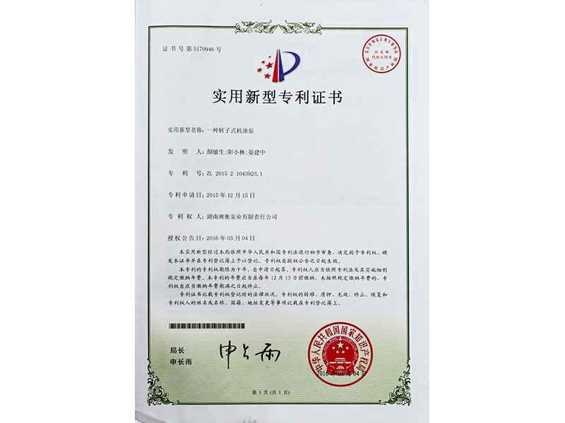 湖南大连方彦社会服务咨询有限公司专利